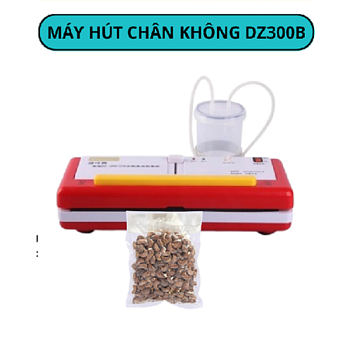 Máy hút chân không DZ300B